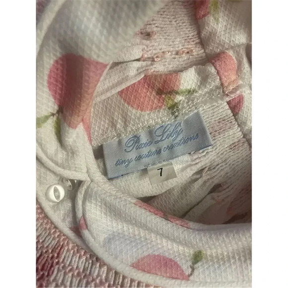 Pixie Lily Girls Pink Smocked Peach Print Dress Size 7 Smocked Knee Length - Picture 3 of 5